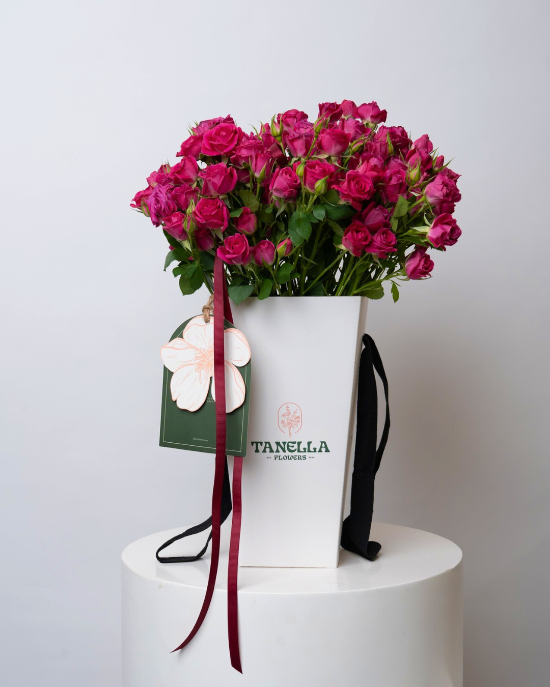 Pink Voltage - tanella flowers 
