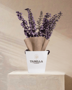 Moonlit - tanella flowers 