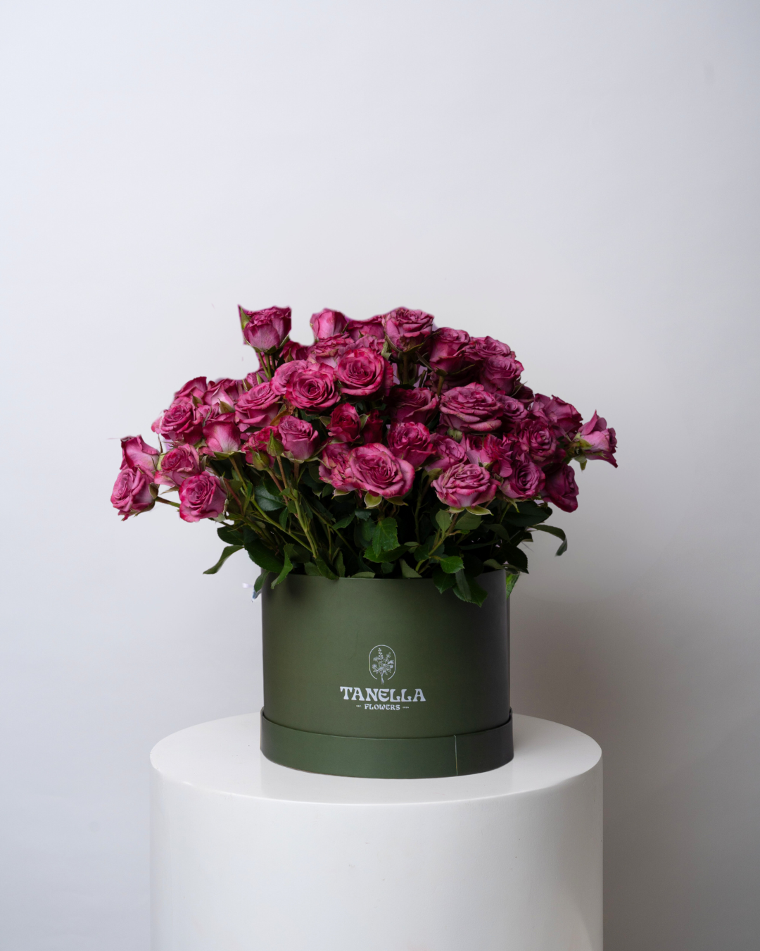 Mauve Macaron - tanella flowers 