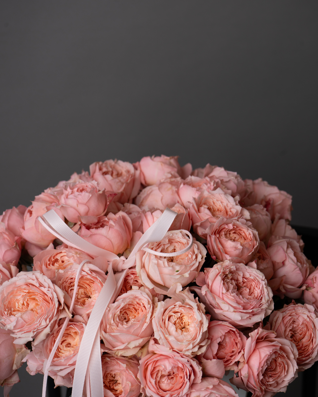 Sugarblush - tanella flowers 