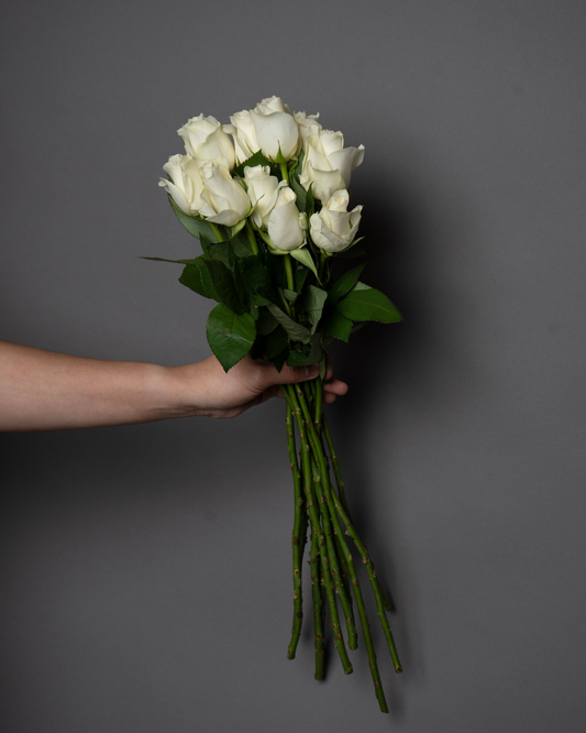 Rose White - tanella flowers 
