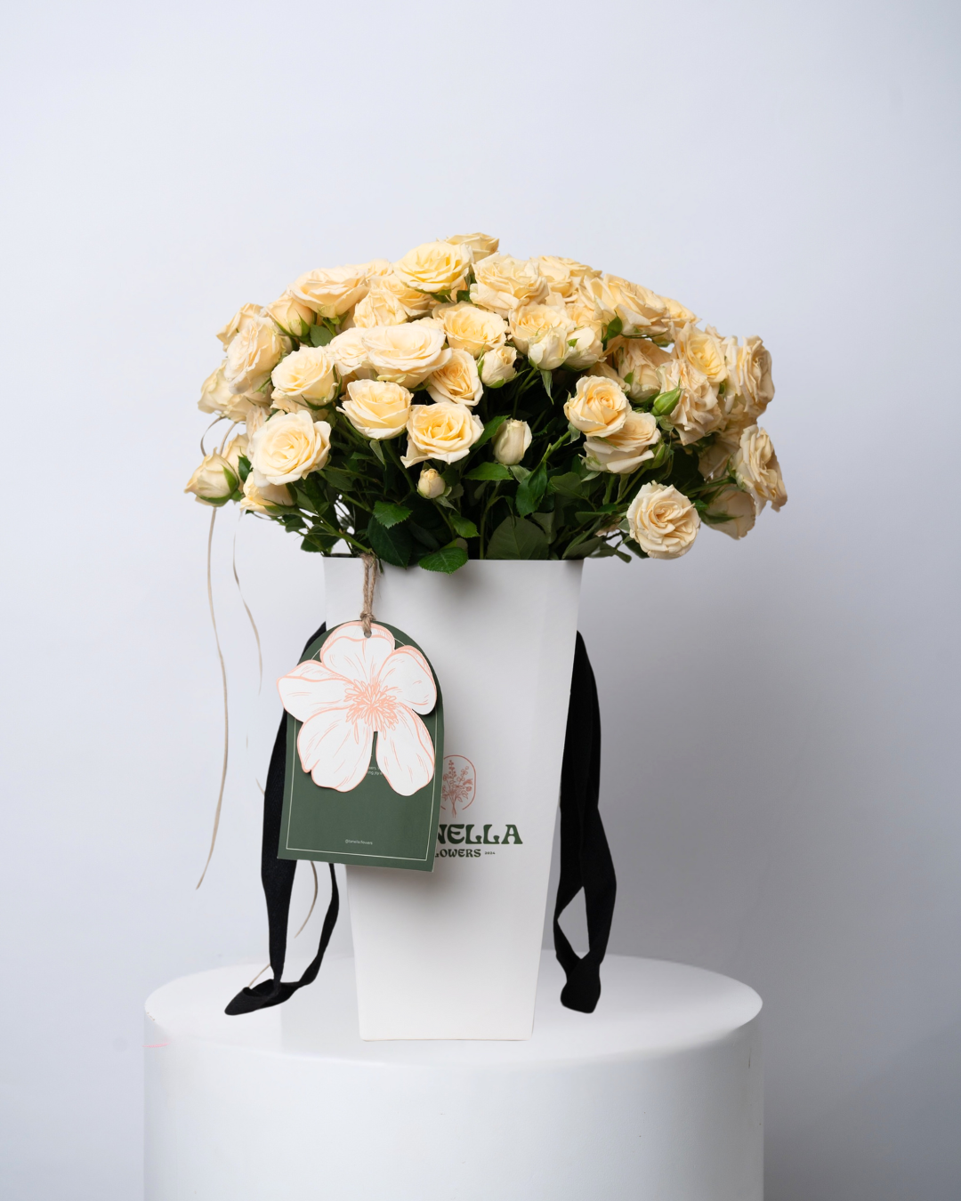 Sun Custard - tanella flowers 