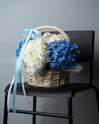 Blue Mist - tanella flowers 